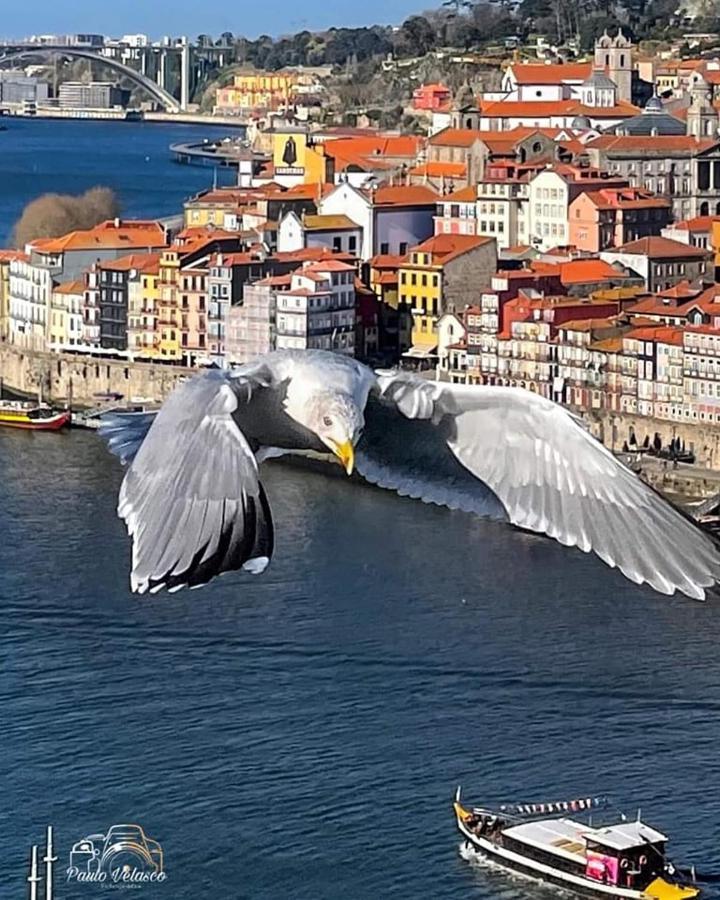 Вилла Casa Mira Douro Вила-Нова-ди-Гая Экстерьер фото